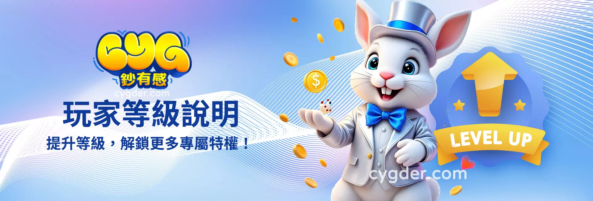玩家等級說明