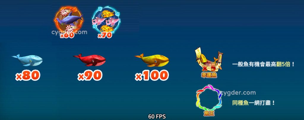射魚遊戲特殊目標支付表